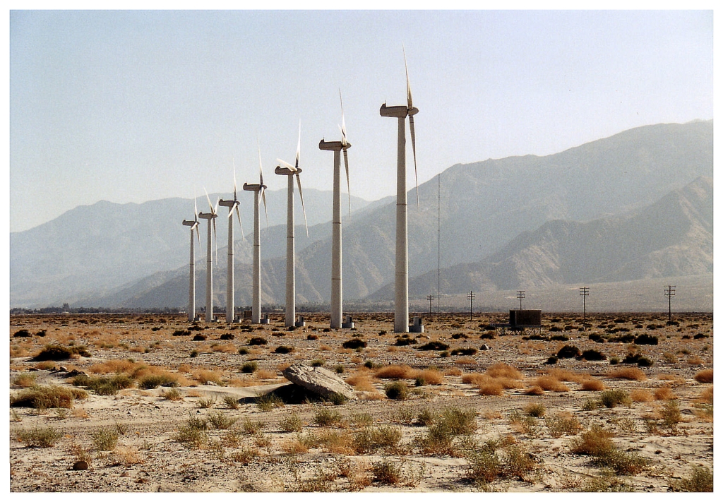 12 - Palm Spring (2).jpg